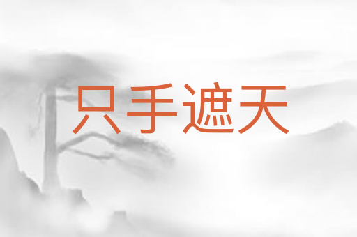 只手遮天