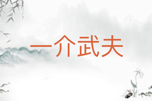 一介武夫