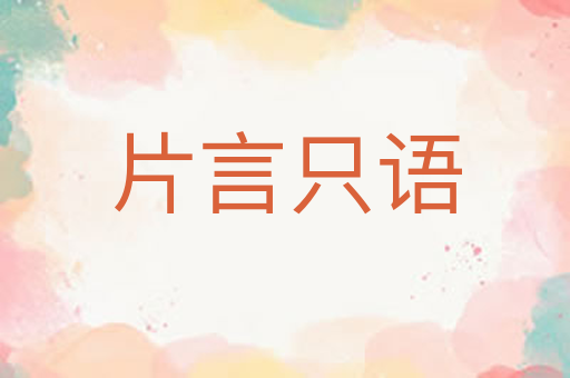 片言只语