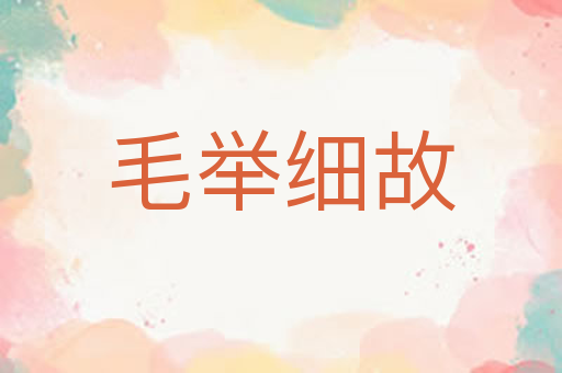 毛举细故
