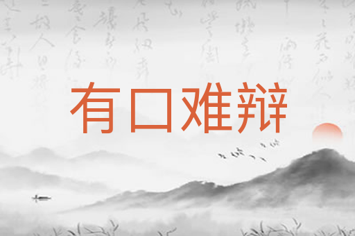 有口难辩