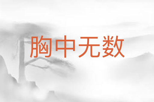 胸中无数