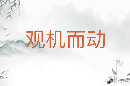 观机而动