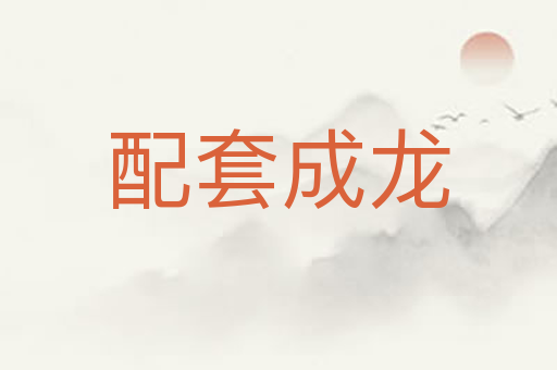 配套成龙
