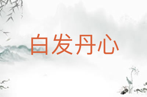白发丹心