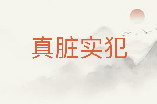 真脏实犯