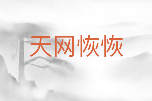 天网恢恢