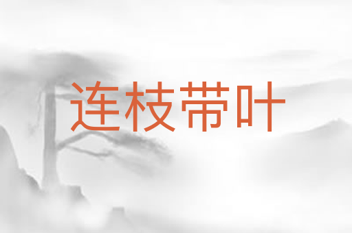 连枝带叶