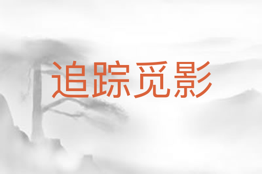 追踪觅影
