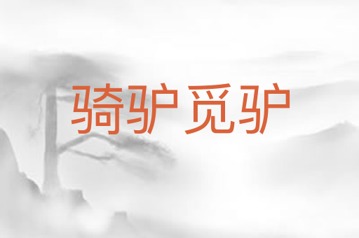 骑驴觅驴