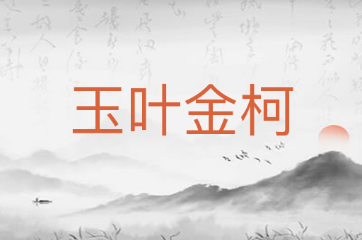 玉叶金柯