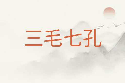 三毛七孔