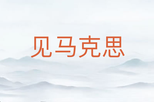 见马克思