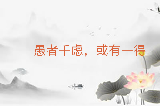 愚者千虑,或有一得