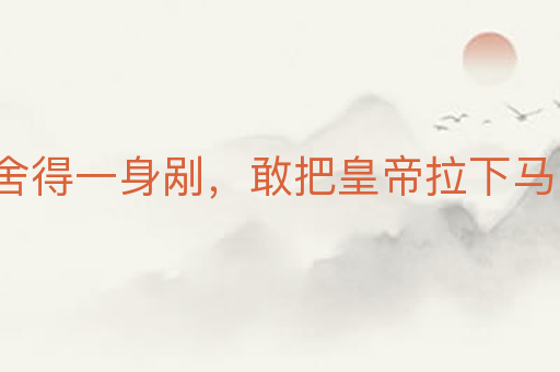 舍得一身剐,敢把皇帝拉下马