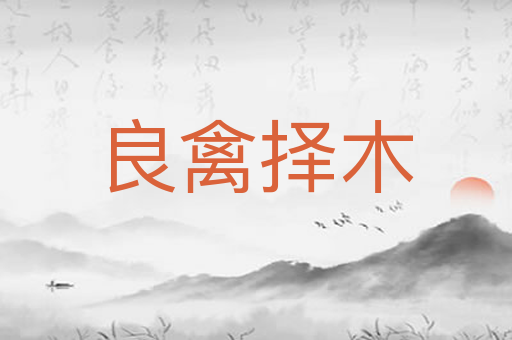 良禽择木