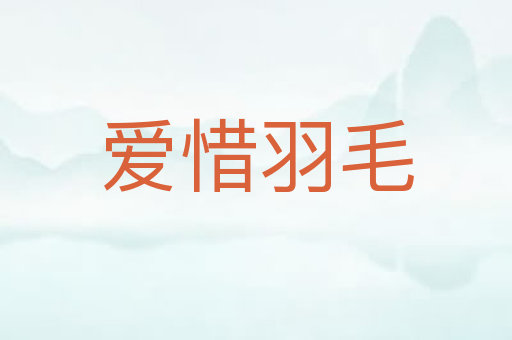 爱惜羽毛