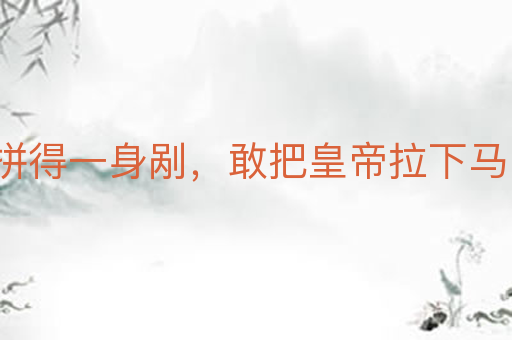 拼得一身剐,敢把皇帝拉下马
