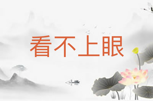 看不上眼