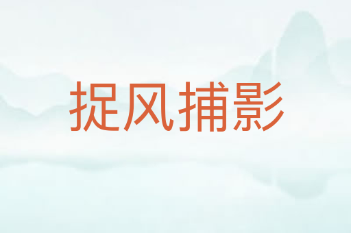 捉风捕影