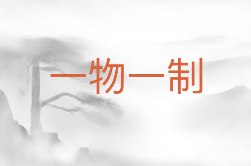 一物一制