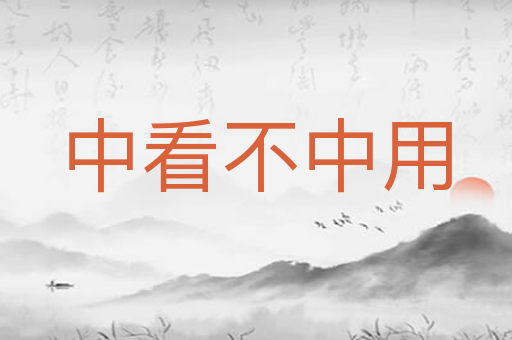 中看不中用