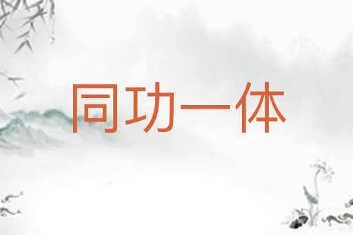 同功一体