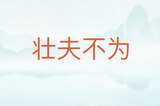 壮夫不为