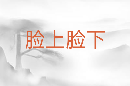 脸上脸下