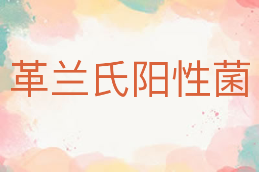 革兰氏阳性菌
