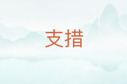 支措