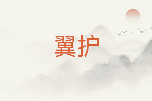 翼护
