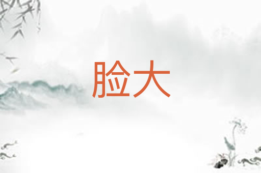 脸大