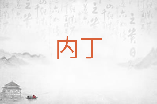 内丁