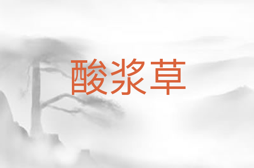 酸浆草