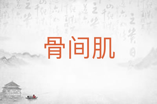 骨间肌