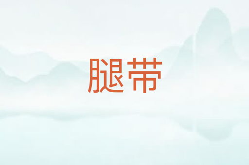 腿带
