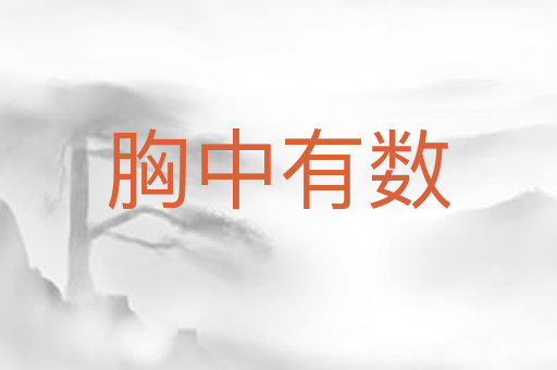 胸中有数