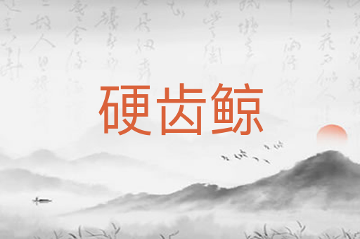 硬齿鲸