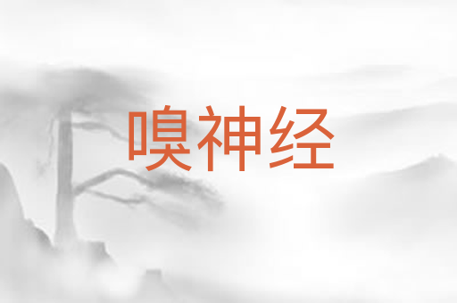 嗅神经