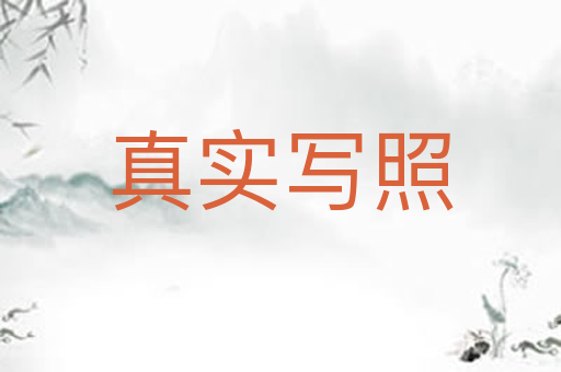 真实写照