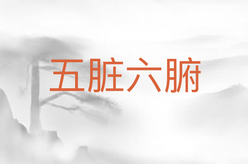 五脏六腑