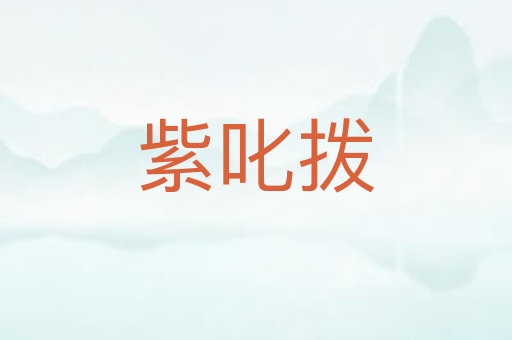 紫叱拨