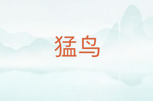 猛鸟