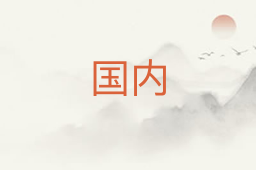 国内