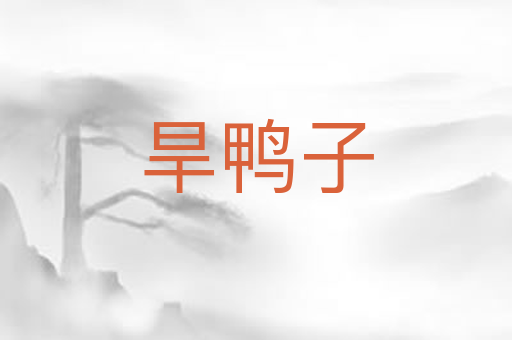 旱鸭子