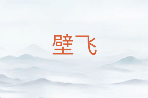壁飞