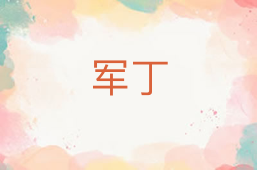 军丁