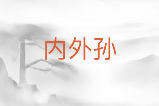 内外孙