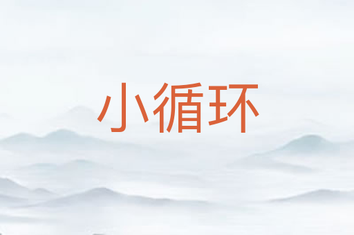 小循环